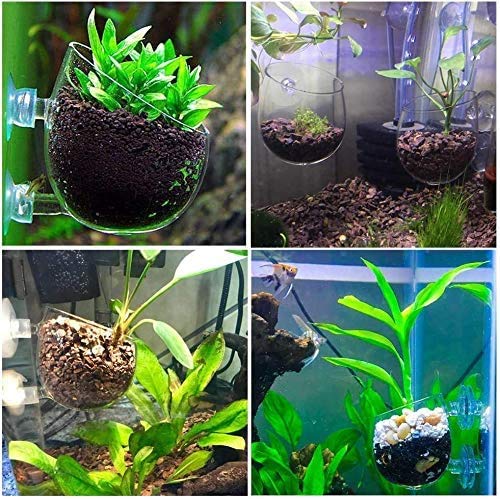 Suction Cup Planter, 4Pcs Magnetic Suction Cup Window Aquarium, Glass Vase Plant Pots Decorations Fish Tank for Aquascape Aquarium - Plantonio