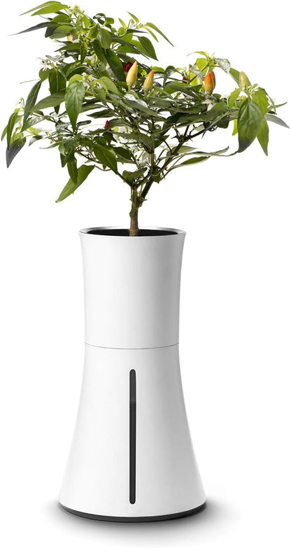 Botanium Hydroponic and Automatic Indoor Gardening Pot, White - Plantonio