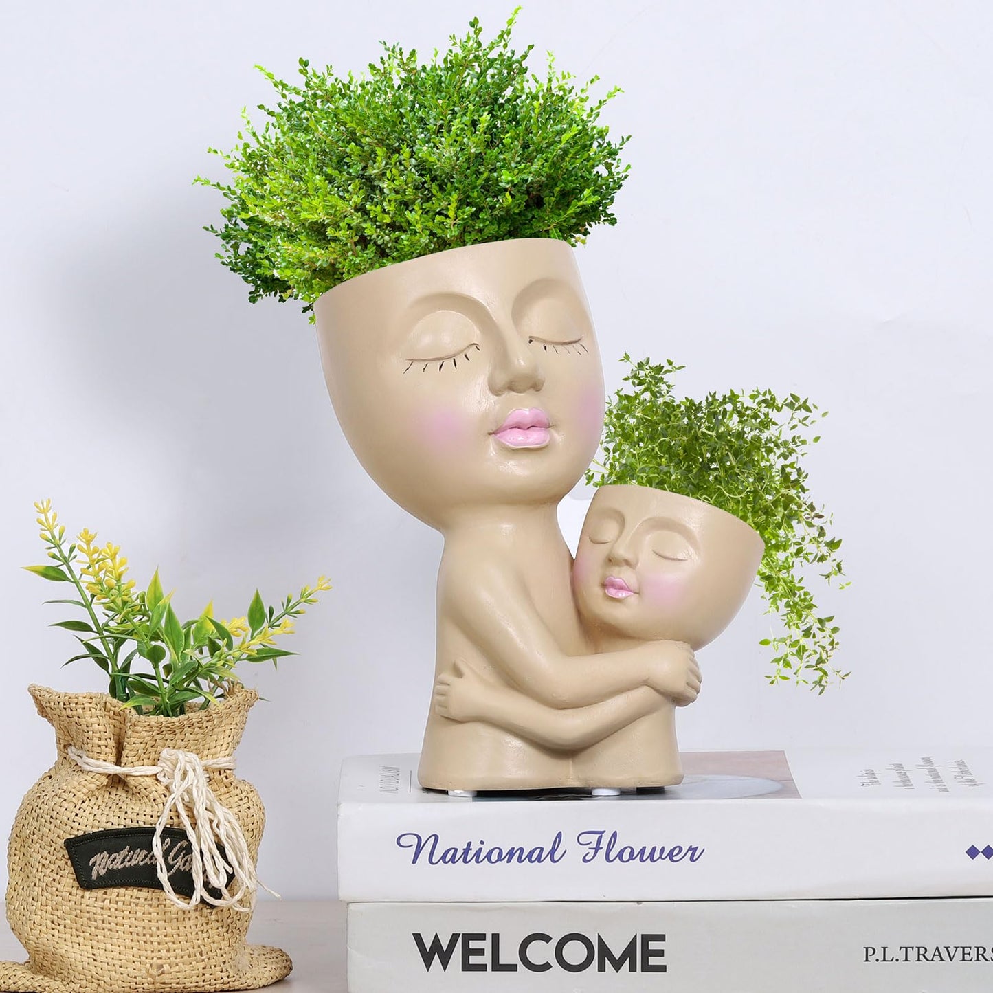 DAMEING Face Planters Pots Head, Mom Gift Flower Pots for Indoor & Outdoor Plants, Resin Succulent Face Planter with Drainage Hole, Cute Double Head Face Pot in One - Gift for Mommy - Plantonio