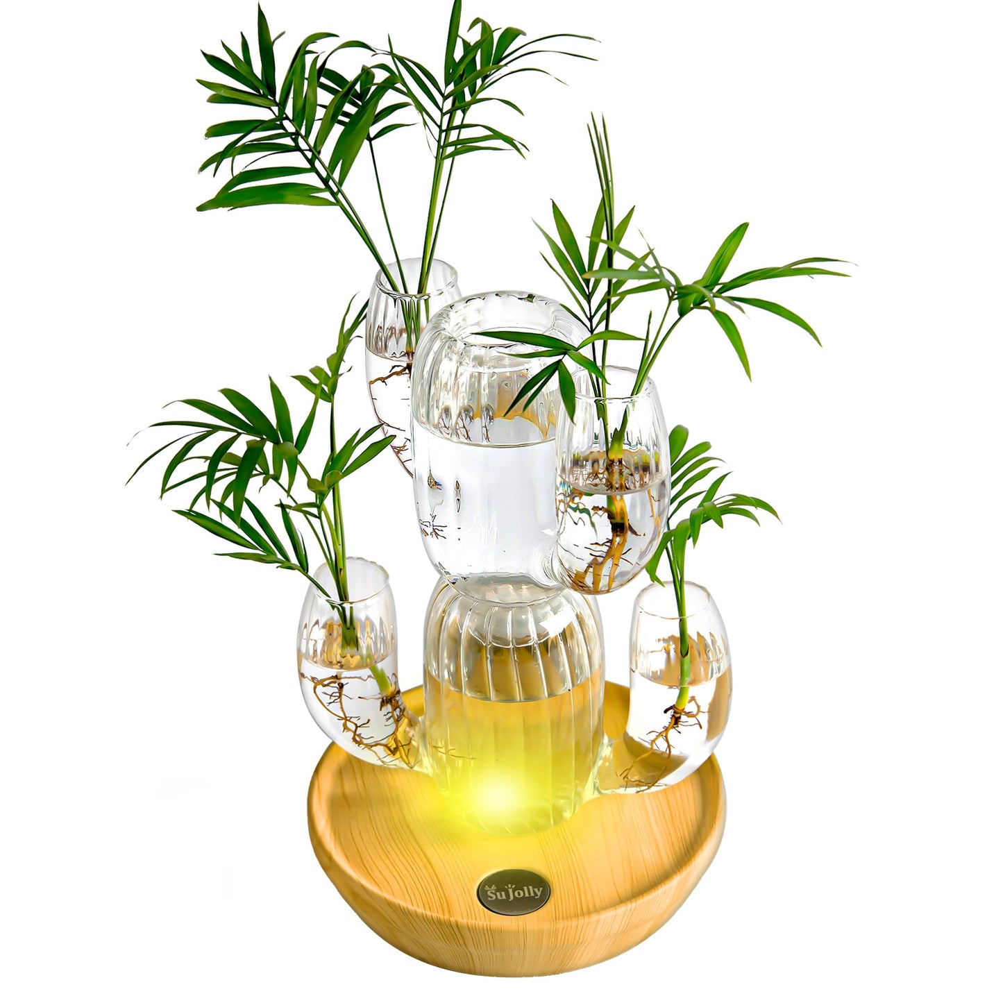 SuJolly Lighted Propagation Station with Metal Base, Glass Plant Terrarium with Touch Control RGB Light, Built-in Battery Cordless Operated, Home Office Wedding Decor, Gift for Plant Lovers (Clear) - Plantonio