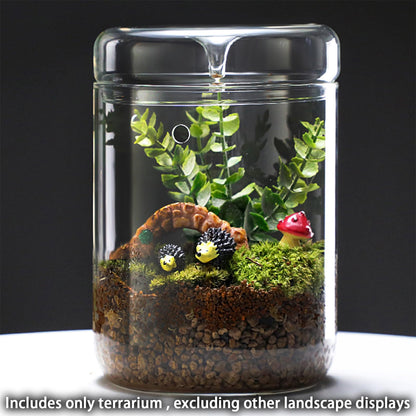 SARUFO Small Glass Plant Terrarium 4.7"X7" Inches Succulent Air Planter Fern Moss Micro-Landscape Vase for Home Garden Office Tabletop Decoration Container with Lid Indoor Wardian Copyright Patent - Plantonio