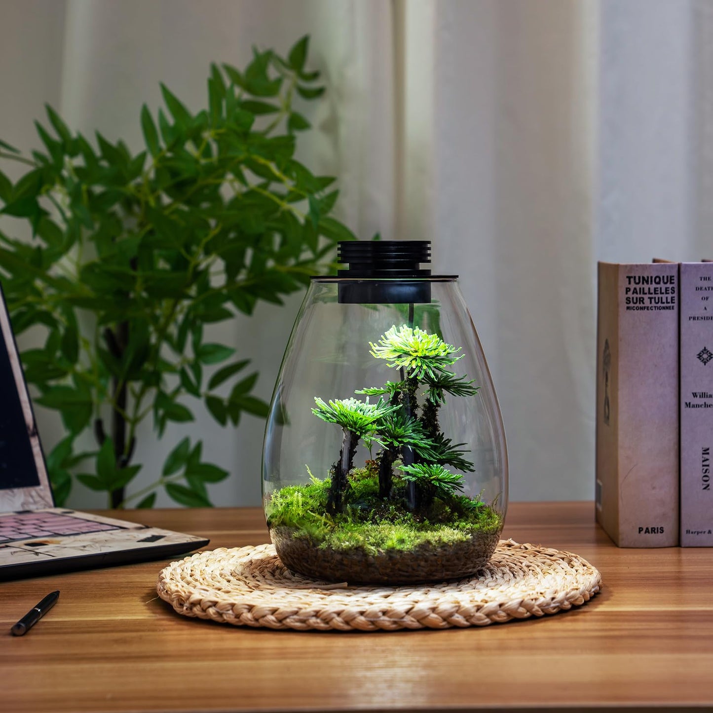 Desktop Glass Plant Terrarium with Grow Light (H:7.8" D:6.7"), for Succulent, Moss, Miniature Gardening Landscape, Betta Fish Tank, Indoor Plant Growth, Office Home Decoration, Plant Lovers Gifts - Plantonio