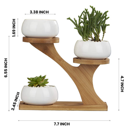 FLOWERPLUS Planter Pots Indoor, 3 Pack 3 Inch White Ceramic Decorative Small Round Succulent Cactus Flower Plant Pot with Tree Tier Bamboo Stand for Garden Kitchen Home Office Desk Decorations - Plantonio