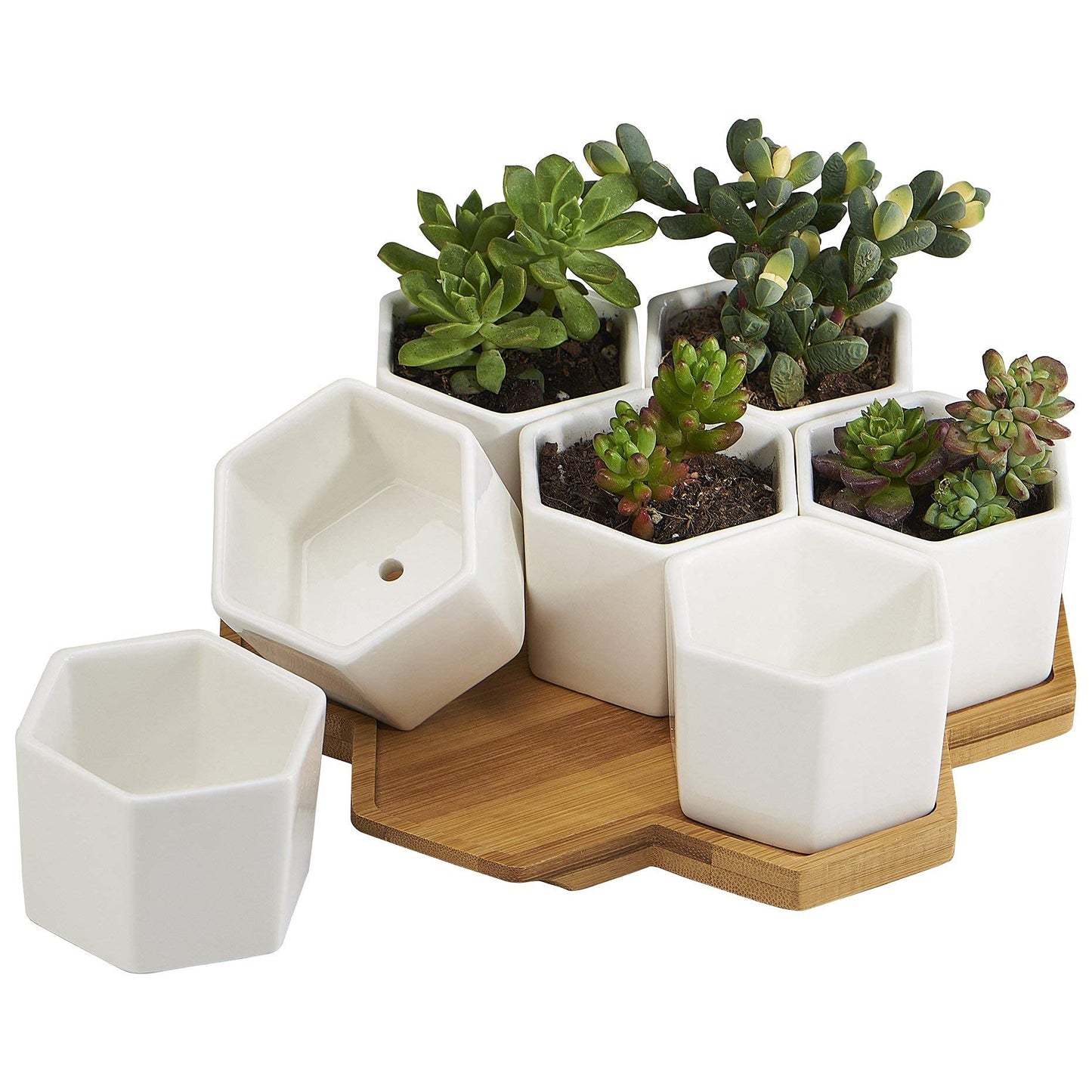 FLOWERPLUS Planter Pots Indoor, 7 Pack 2.75 Inch Modern White Ceramic Small Hex Succulent Cactus Flower Plant Pot with Bamboo Tray for Indoors Outdoor Office Home Garden Kitchen Decor (Hexagon) - Plantonio