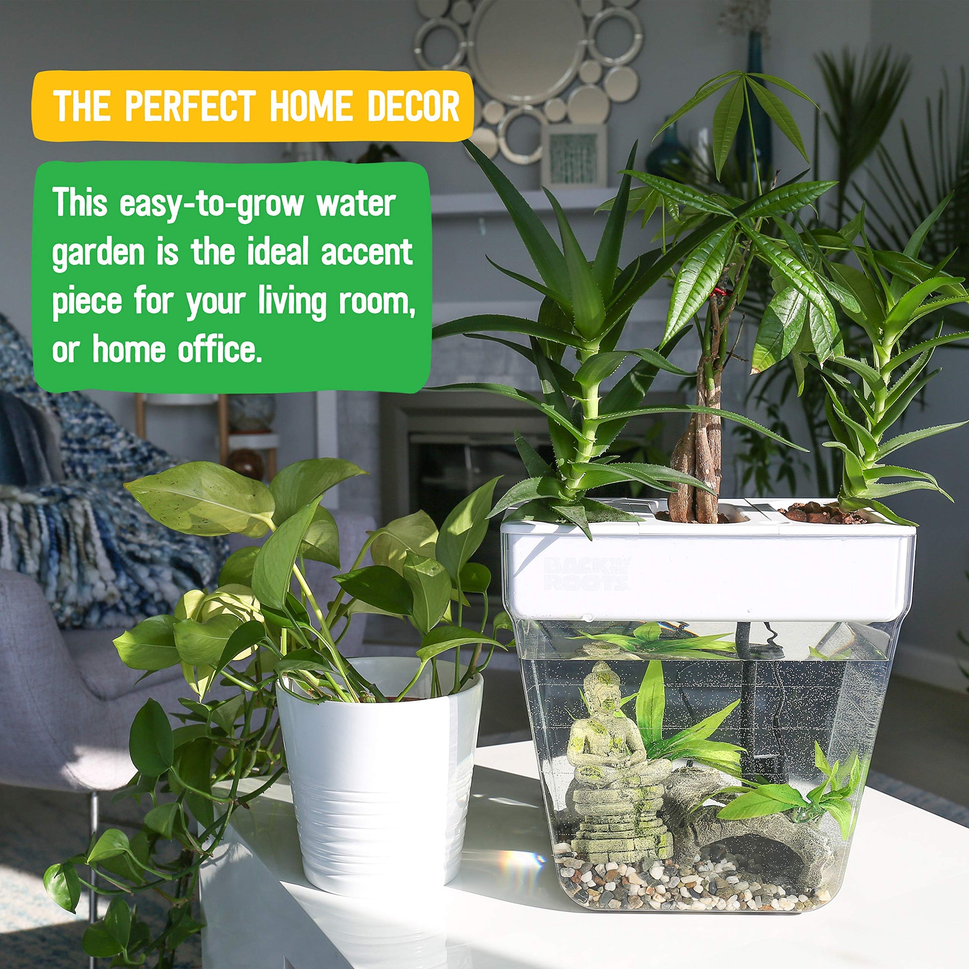 Back to the Roots Indoor Hydroponic Garden - 3 Gallon Self Watering, Mess-Free Planter for Herbs, Microgreens, Bamboo, Succulents, and Houseplants, Green - Plantonio