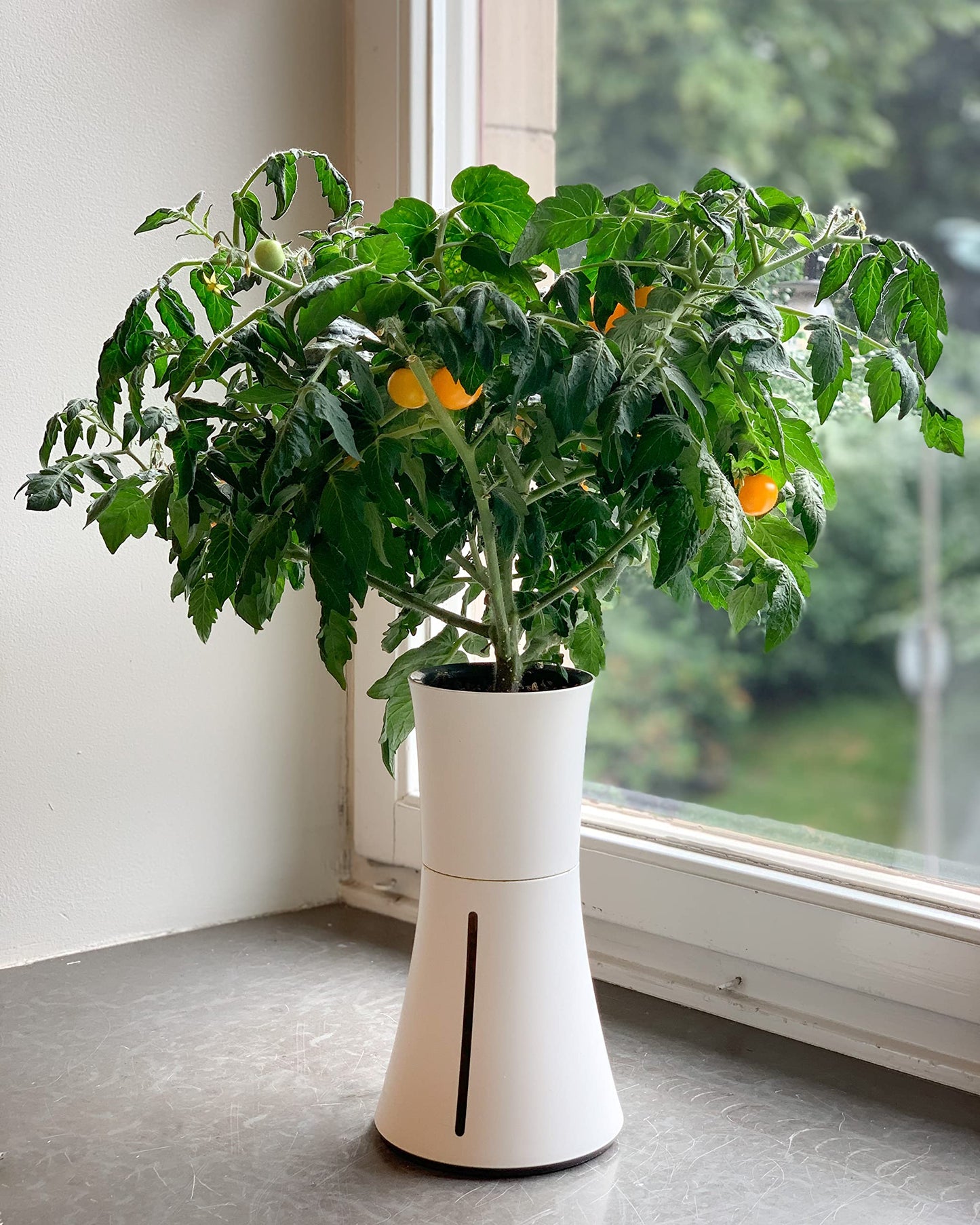 Botanium Hydroponic and Automatic Indoor Gardening Pot, White - Plantonio