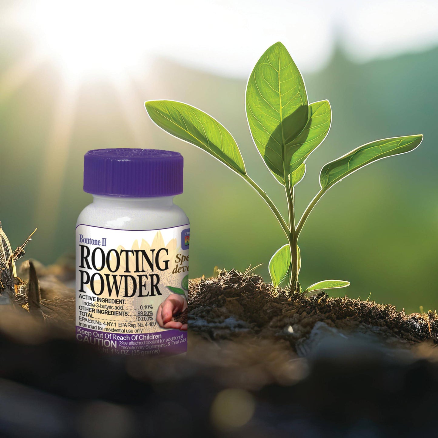 Bonide Bontone II Rooting Powder, 1.25 oz Ready-to-Use Dust for Houseplants and Transplants Speeds Root Development - Plantonio