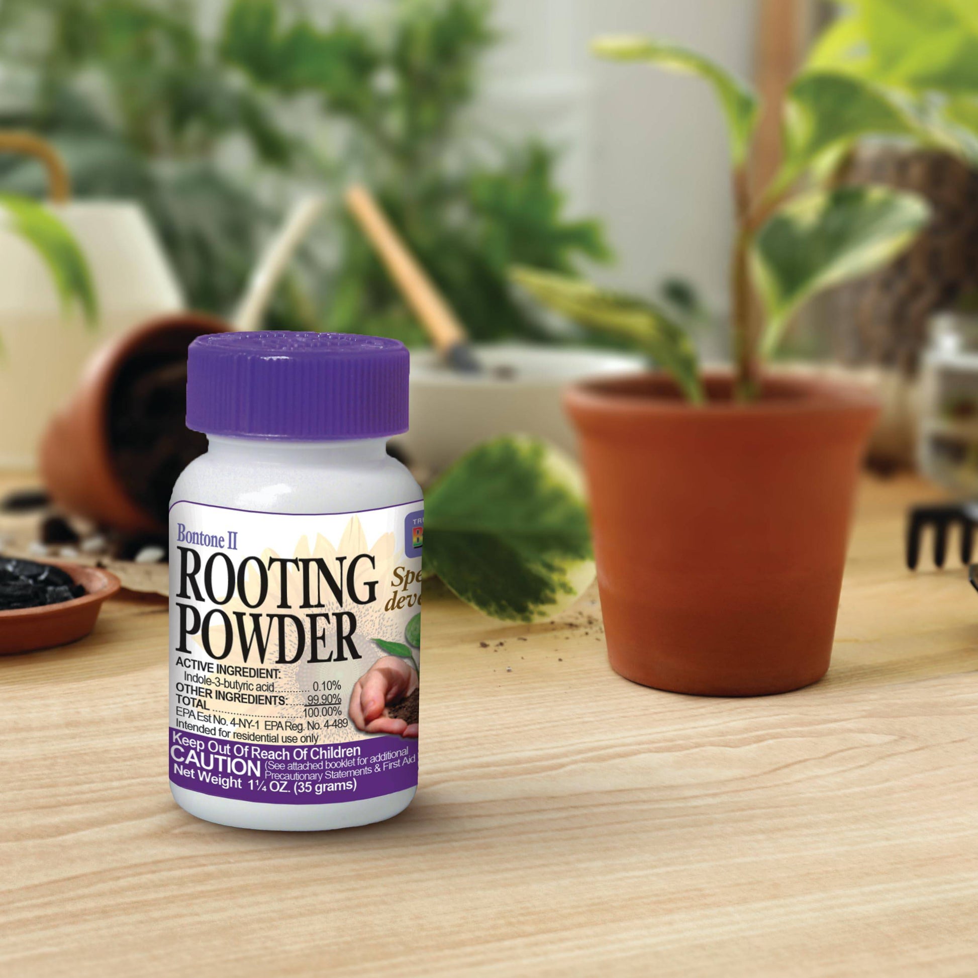 Bonide Bontone II Rooting Powder, 1.25 oz Ready-to-Use Dust for Houseplants and Transplants Speeds Root Development - Plantonio