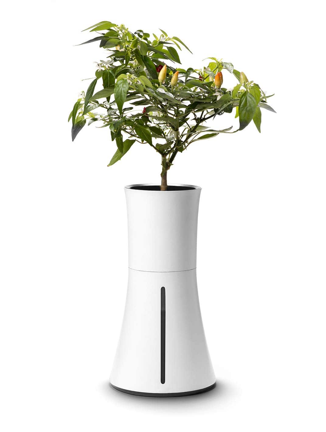 Botanium Hydroponic and Automatic Indoor Gardening Pot, White - Plantonio