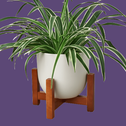 Ceramic Contour Pot with Wood Stand - 7 Inch - Plantonio