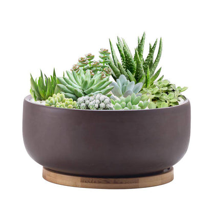 EPFamily Terracotta Shallow Succulent Planter, 8 Inch Planter Pot with Bamboo Tray, Clay Flower Pot Indoor and Outdoor Planter with Drainage Hole, Brown… - Plantonio