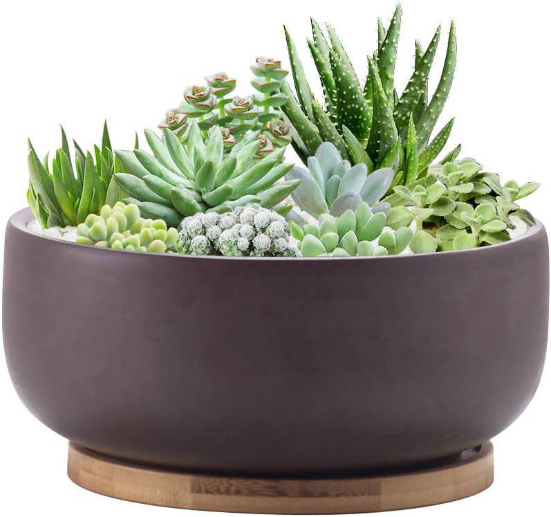 EPFamily Terracotta Shallow Succulent Planter, 8 Inch Planter Pot with Bamboo Tray, Clay Flower Pot Indoor and Outdoor Planter with Drainage Hole, Brown… - Plantonio