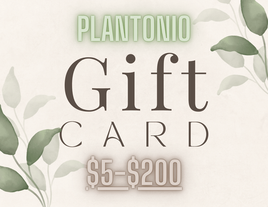 Gift Cards: Bringing Nature's Beauty to Your Loved Ones! - Plantonio