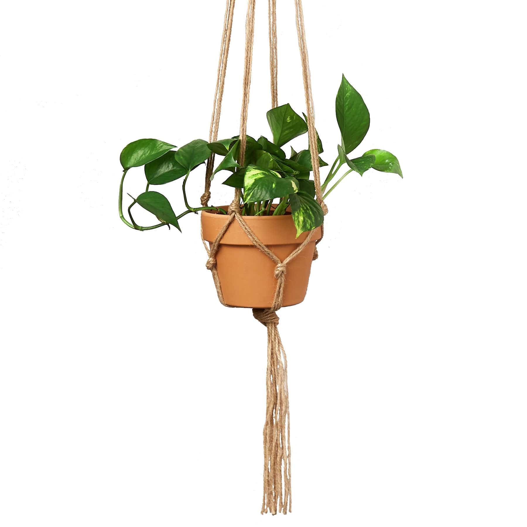 Macrame Hanger - Designed for 5 - 7 inch Planters - Plantonio