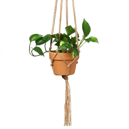 Macrame Hanger - Designed for 5 - 7 inch Planters - Plantonio