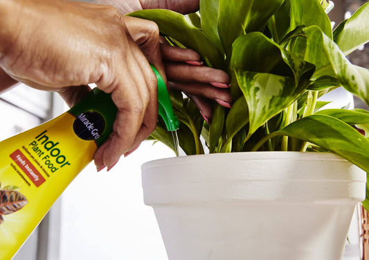 Miracle-Gro Indoor Plant Food (Liquid), 8 oz., Instantly Feeds All Indoor Houseplants Including Edibles, 2-Pack - Plantonio
