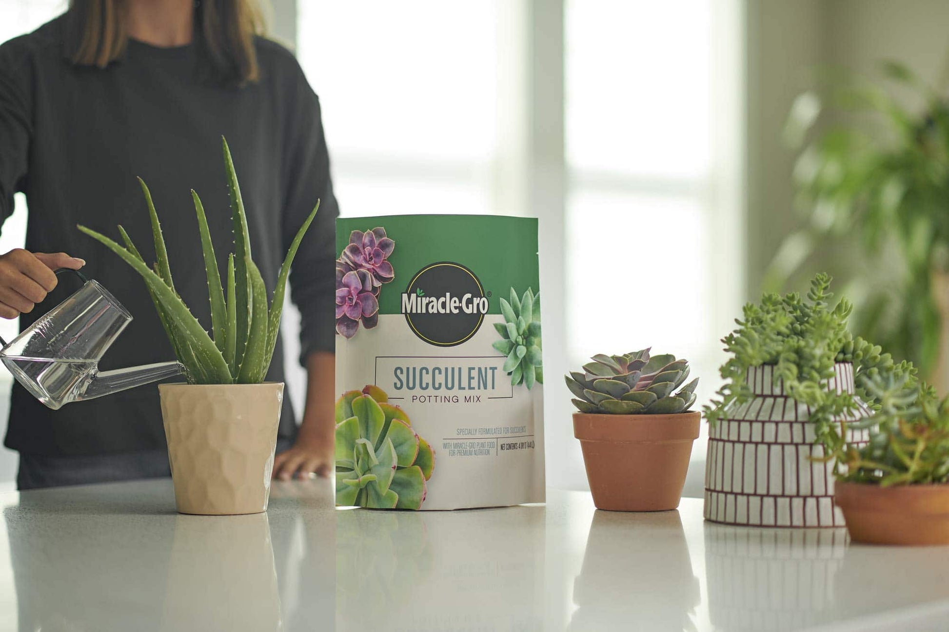 Miracle-Gro Succulent Potting Mix: Fertilized Soil with Premium Nutrition for Indoor Cactus Plants, Aloe Vera and More, 4 qt. - Plantonio