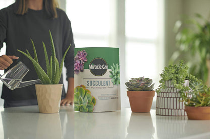 Miracle-Gro Succulent Potting Mix: Fertilized Soil with Premium Nutrition for Indoor Cactus Plants, Aloe Vera and More, 4 qt. - Plantonio