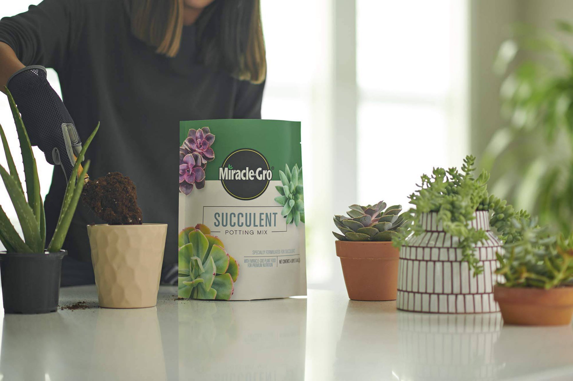 Miracle-Gro Succulent Potting Mix: Fertilized Soil with Premium Nutrition for Indoor Cactus Plants, Aloe Vera and More, 4 qt. - Plantonio