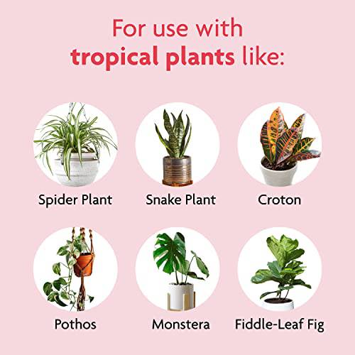 Miracle-Gro Tropical Houseplant Food - Liquid Fertilizer for Tropical Houseplants, 8 fl. oz., 2-Pack - Plantonio