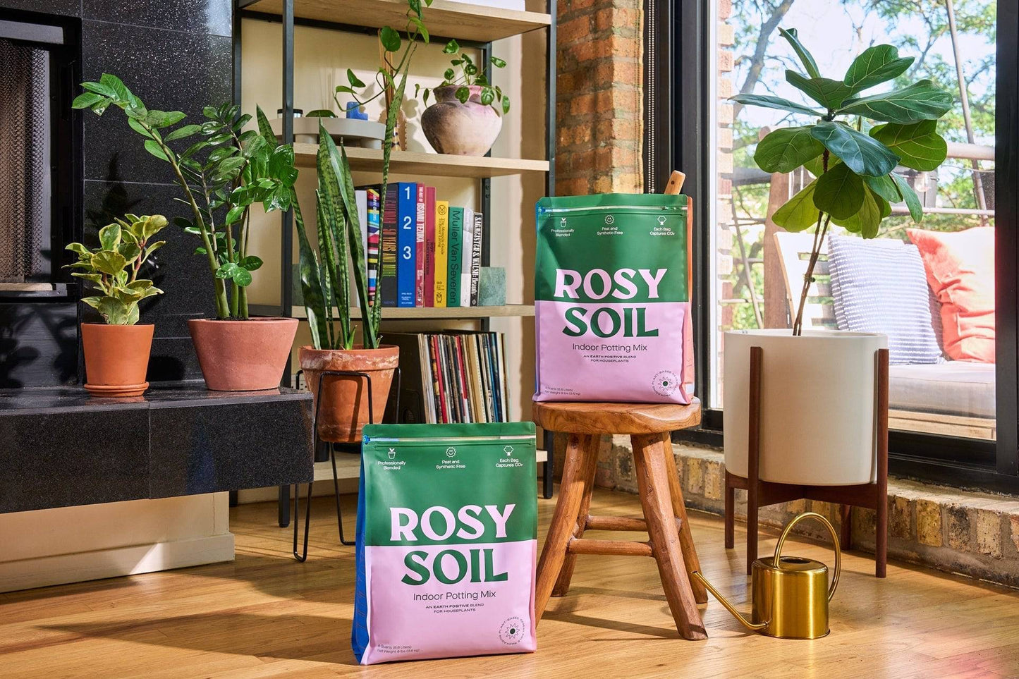 Rosy Indoor Potting Soil - Plantonio