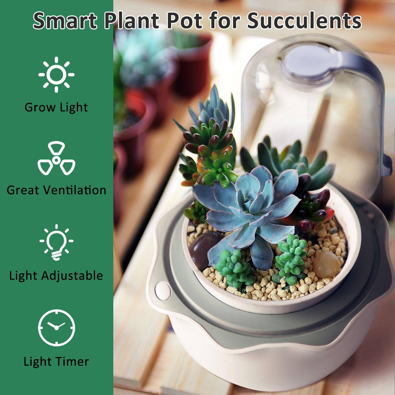 Succulent Pot with Grow Light,Smart Venus Fly Trap Terrarium Planter with Timer&Fan, Indoor Plant Pots with Drainage Hole for carnivorous plants, Persian Violet,Sundew Moss,Flytra,Cactus(No Plant) - Plantonio