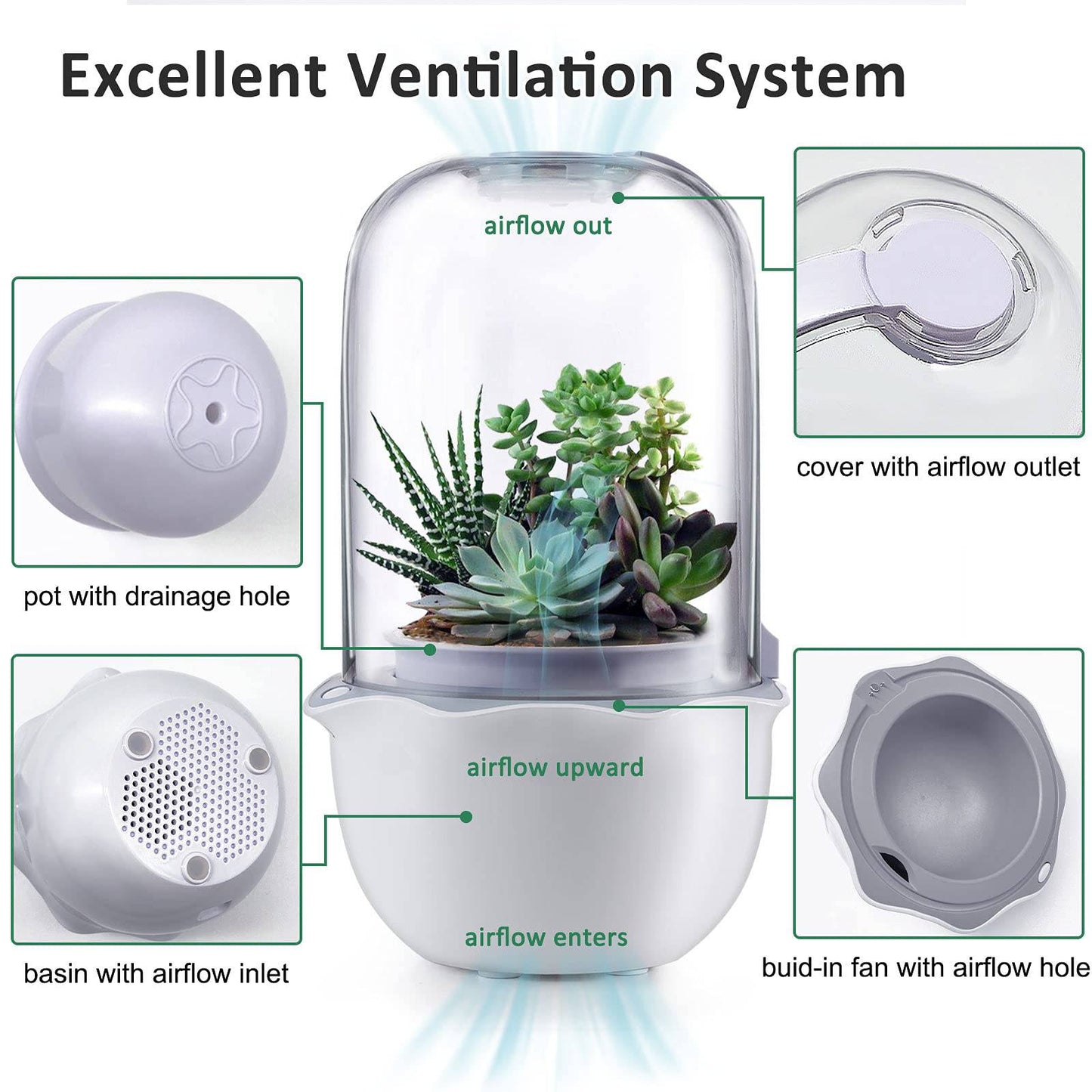 Succulent Pot with Grow Light,Smart Venus Fly Trap Terrarium Planter with Timer&Fan, Indoor Plant Pots with Drainage Hole for carnivorous plants, Persian Violet,Sundew Moss,Flytra,Cactus(No Plant) - Plantonio