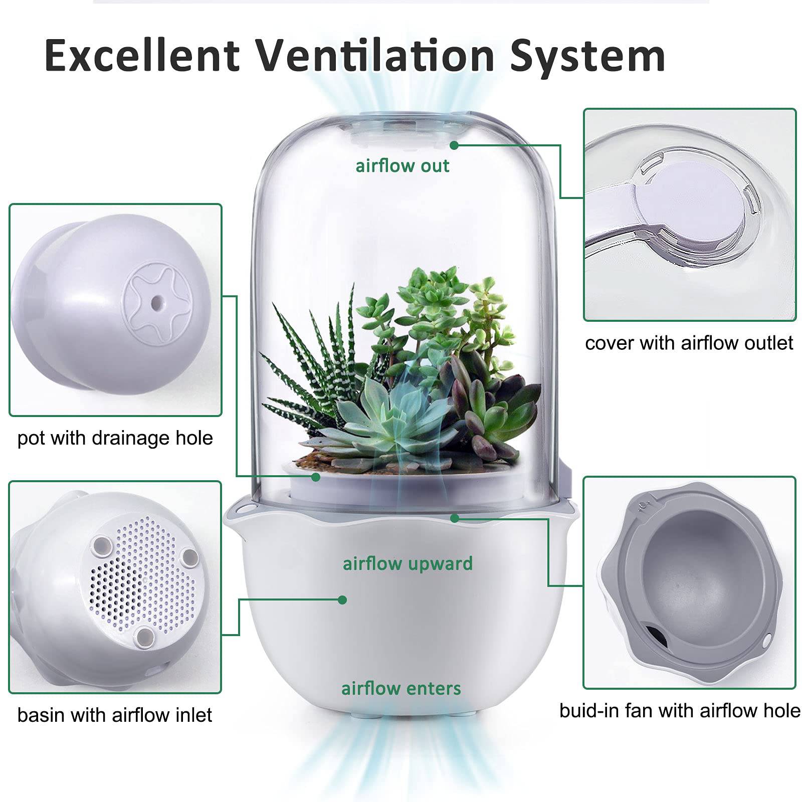 Succulent Pot with Grow Light,Smart Venus Fly Trap Terrarium Planter with Timer&Fan, Indoor Plant Pots with Drainage Hole for carnivorous plants, Persian Violet,Sundew Moss,Flytra,Cactus(No Plant) - Plantonio