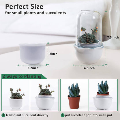 Succulent Pot with Grow Light,Smart Venus Fly Trap Terrarium Planter with Timer&Fan, Indoor Plant Pots with Drainage Hole for carnivorous plants, Persian Violet,Sundew Moss,Flytra,Cactus(No Plant) - Plantonio