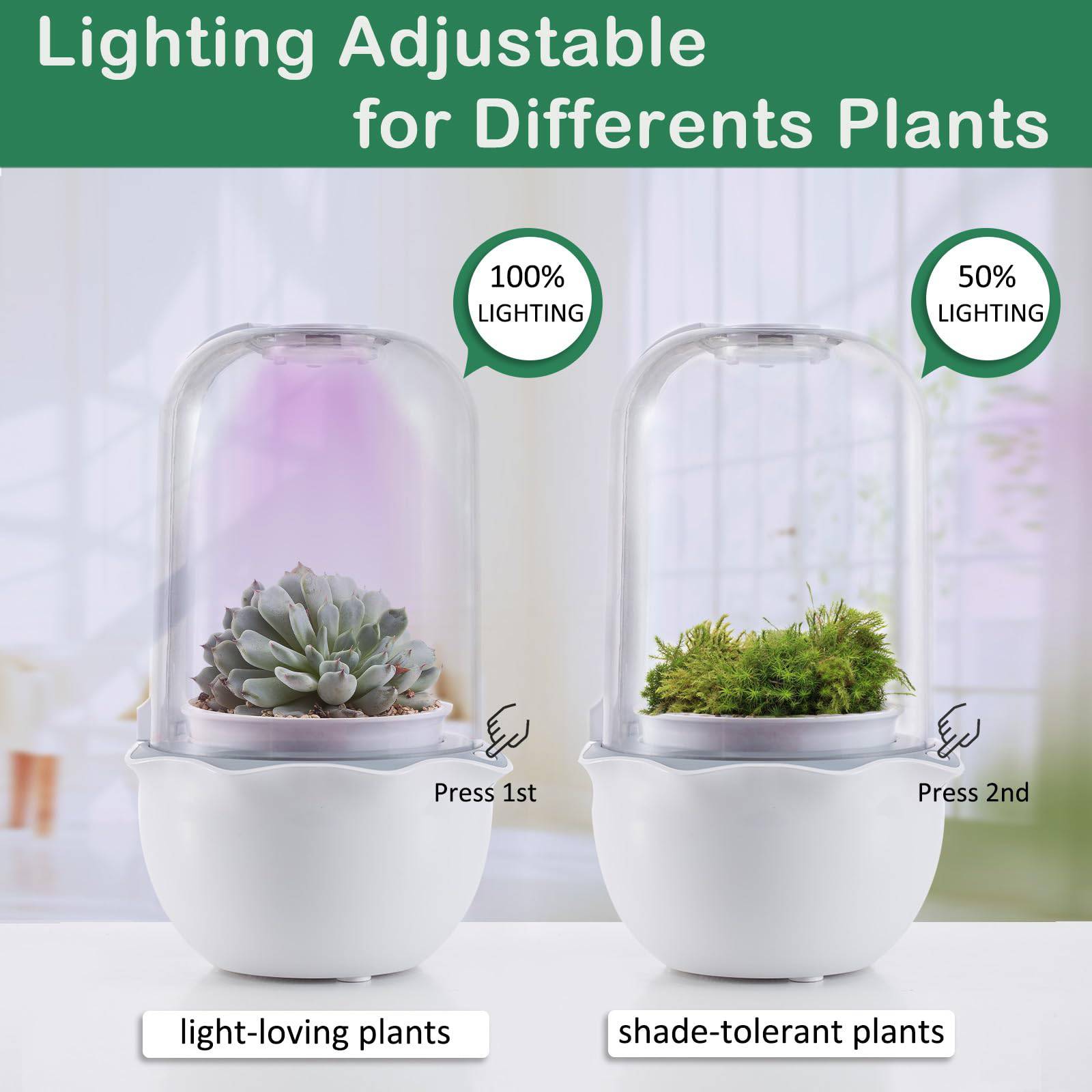 Succulent Pot with Grow Light,Smart Venus Fly Trap Terrarium Planter with Timer&Fan, Indoor Plant Pots with Drainage Hole for carnivorous plants, Persian Violet,Sundew Moss,Flytra,Cactus(No Plant) - Plantonio