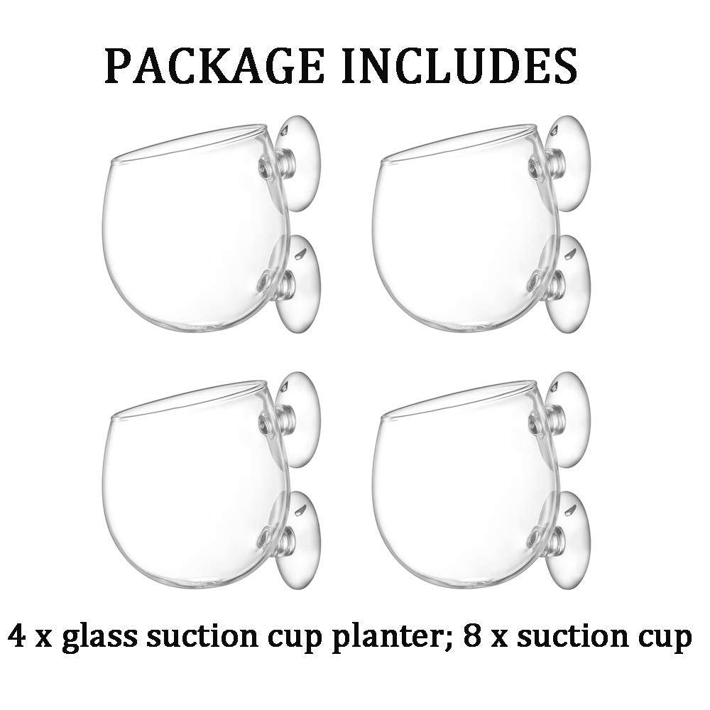 Suction Cup Planter, 4Pcs Magnetic Suction Cup Window Aquarium, Glass Vase Plant Pots Decorations Fish Tank for Aquascape Aquarium - Plantonio