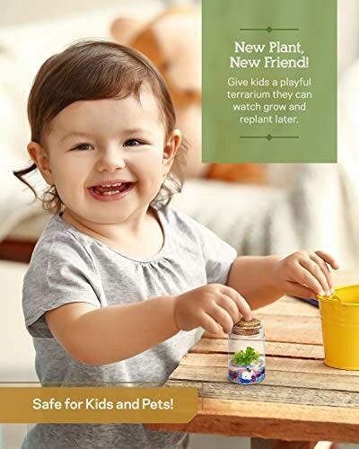 Child holding a small terrarium with plants, smiling.