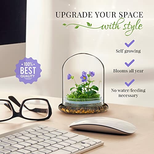 Desktop setup with a small self-growing plant in a glass dome beside a keyboard and mouse.