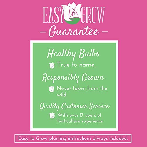 Easy to Grow Guarantee with healthy bulbs, responsibly grown, and quality customer service.