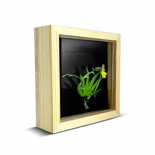 Framed plant art with yellow flower