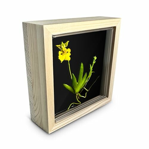 Framed yellow flower artwork on black background