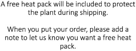 Notice about free heat pack for plant shipping.