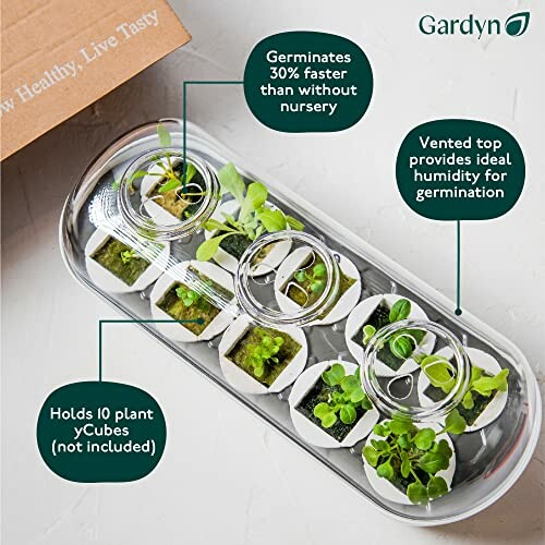 Gardyn germination kit with plant yCubes and vented top.