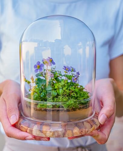 Person holding a glass terrarium with small purple flowers and greenery.