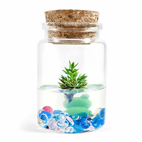 Live Tree Terrarium