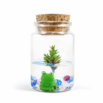 Miniature glass terrarium with a toy frog, plant, and colorful stones.