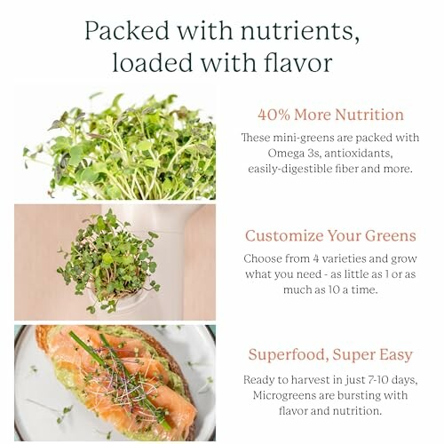 Microgreens with nutrition benefits and salmon dish.