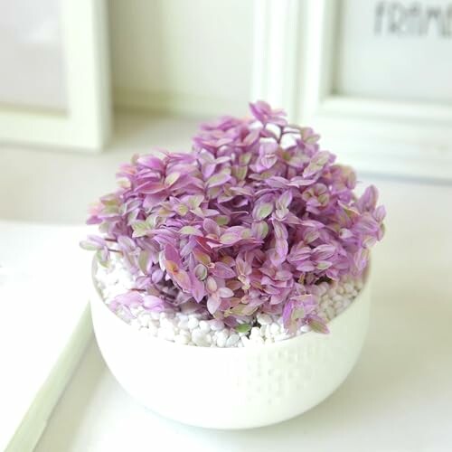 Small purple plant in a white pot with pebbles