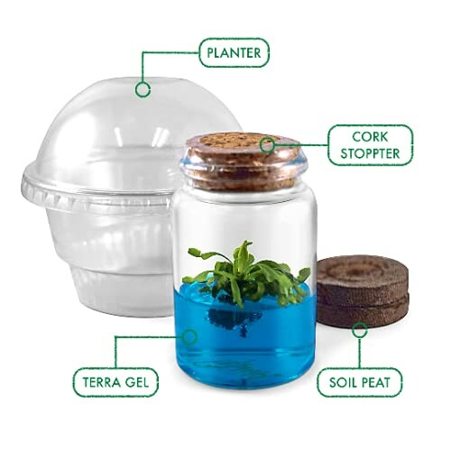 Venus Flytrap Kit